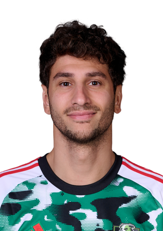 Domenico Rossi