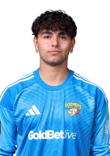Mirko Dario