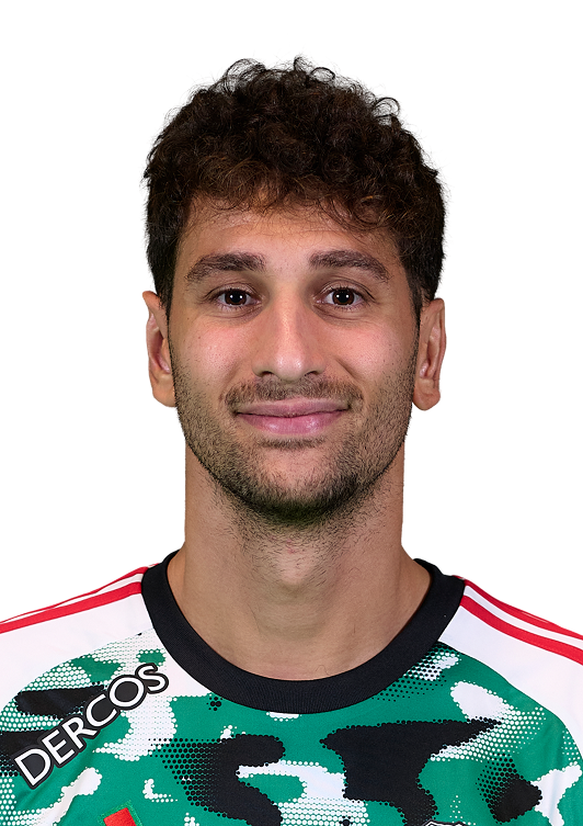 Domenico Rossi