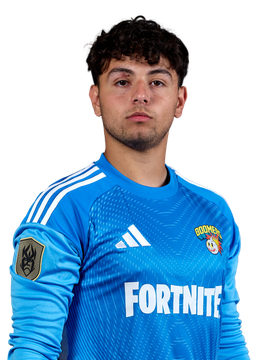 Mirko Dario
