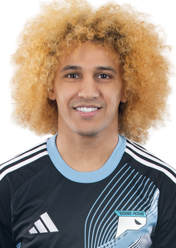 Ali Alnamer