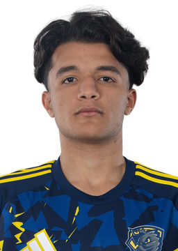 Amr Abdelrahman
