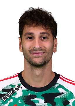 Domenico Rossi
