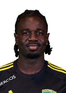 Yannick Melseaux