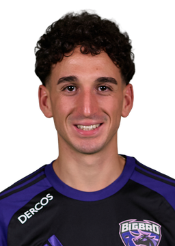 Ali Farsane