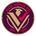 Vice Versa FC