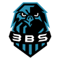 3BS